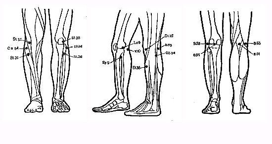 точечный массаж при болях в коленных суставах китайский точечный массаж активизирует кровообращение и улучшает циркуляцию крови в области коленного сустава, что способствует исчезновению отеков в этой части тела. кроме того, с помощью точечного